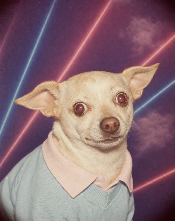 Yearbook AI pet portrait — sample render